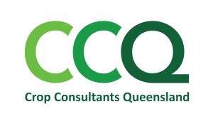 ccq_logo-website-01